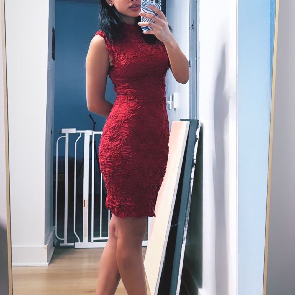 Zara Red Sheath Mini Dress Mock Neck Sleeveless